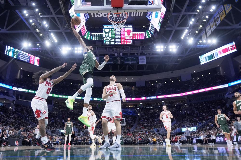 是经济回报 是经济回报